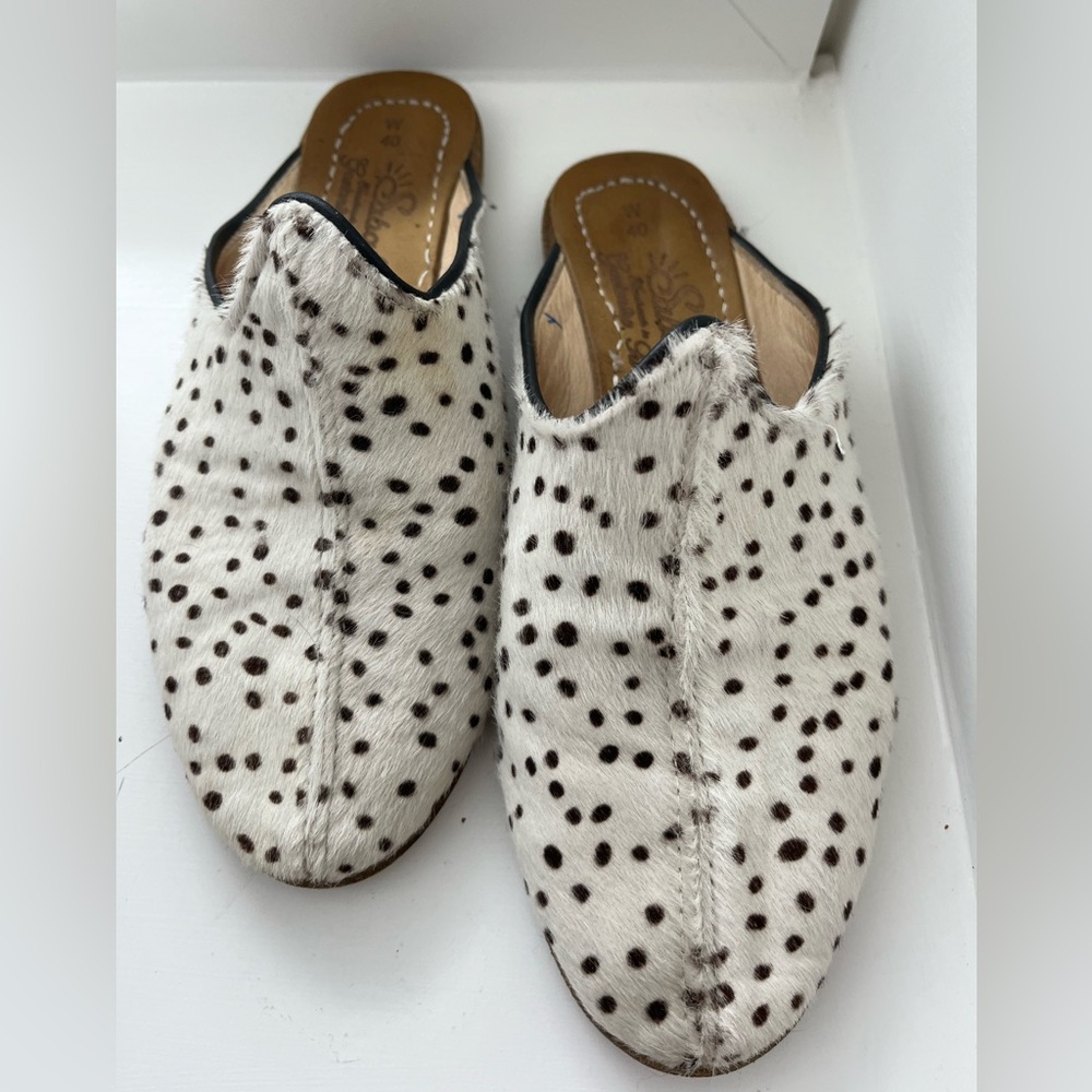 Sabahs Black Dot (40)